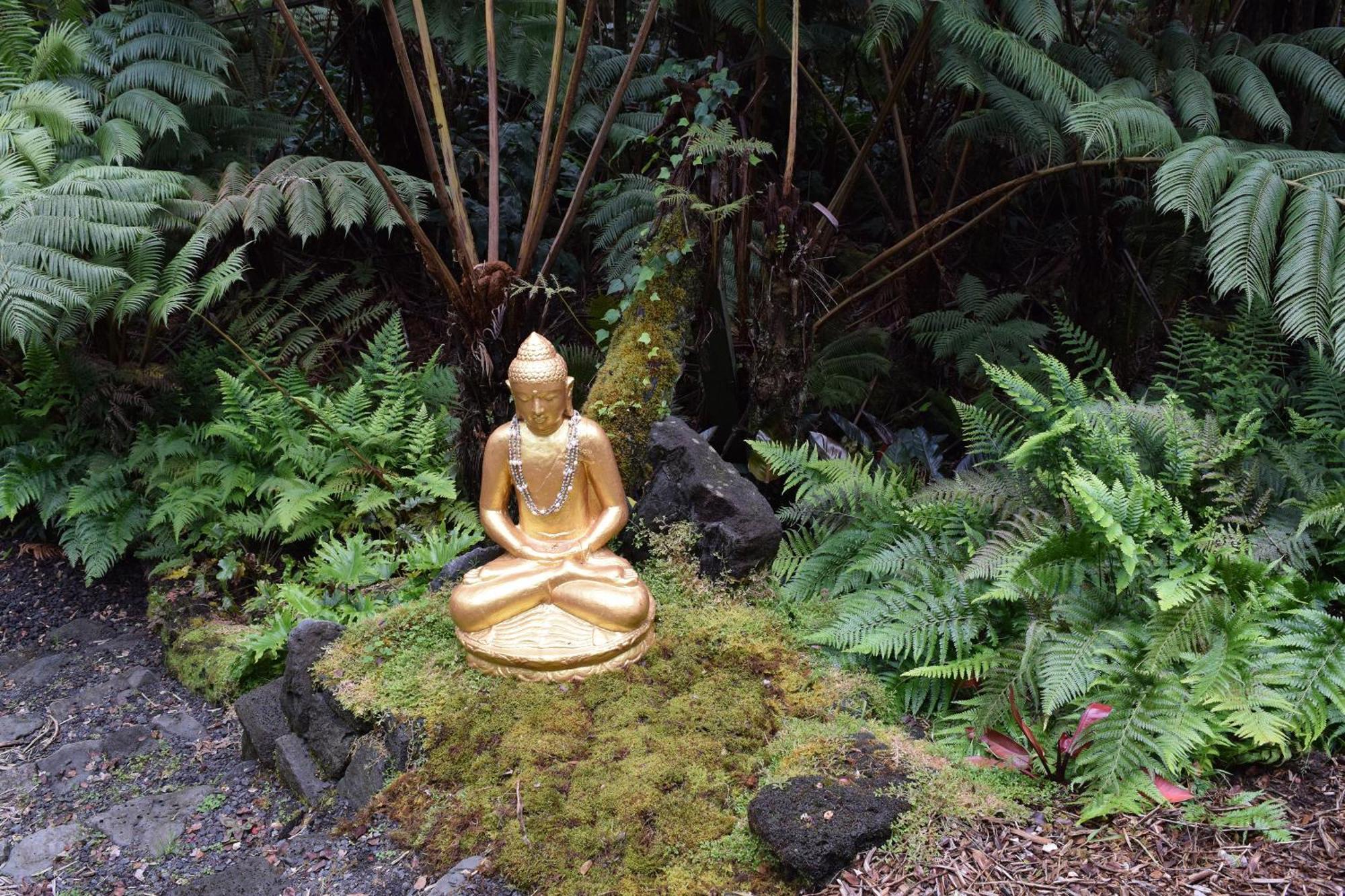 沃尔卡诺Hale Ho'Okipa别墅 外观 照片